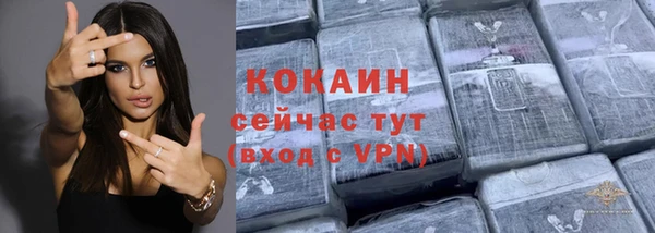 шишки Заводоуковск