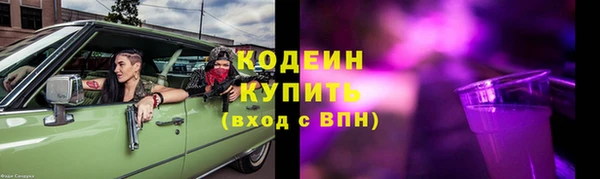 шишки Заводоуковск