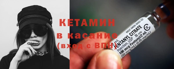 шишки Заводоуковск