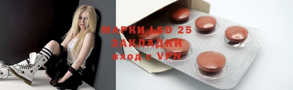 шишки Заводоуковск
