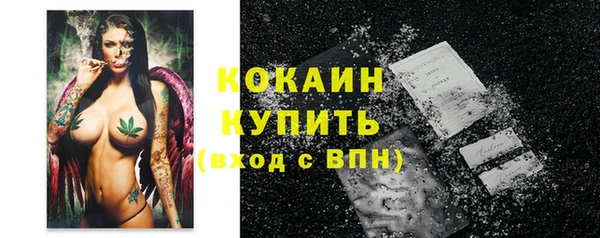 шишки Заводоуковск